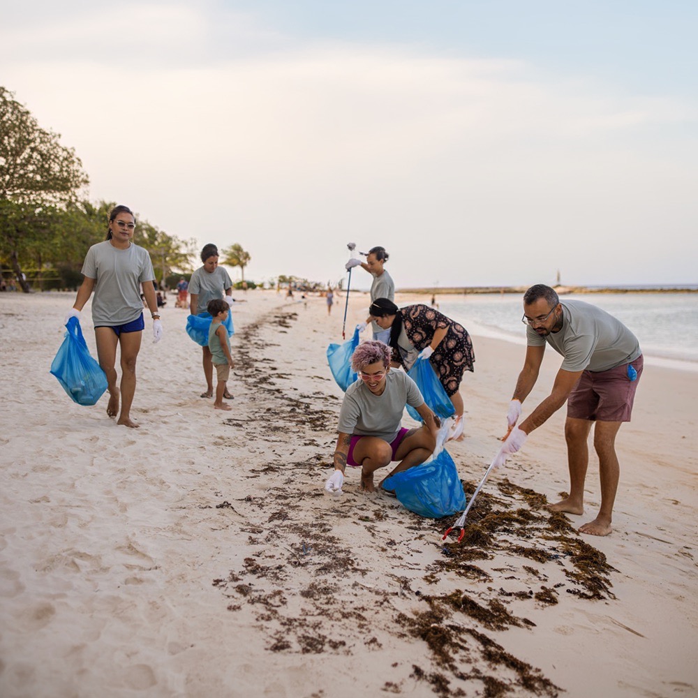 An eco-friendly team building activity